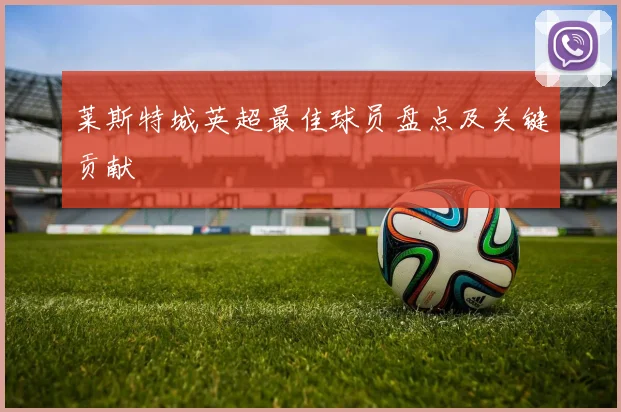 莱斯特城英超最佳球员盘点及关键贡献