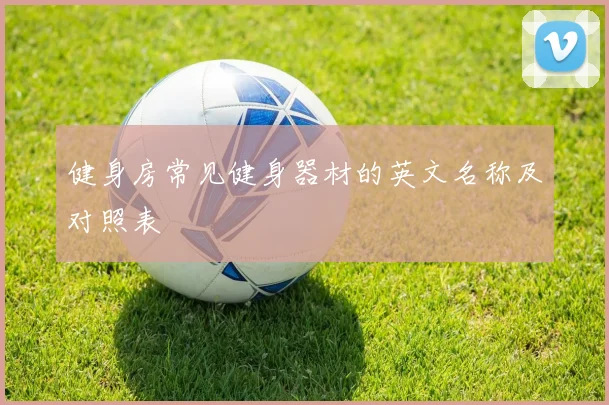 健身房常见健身器材的英文名称及对照表