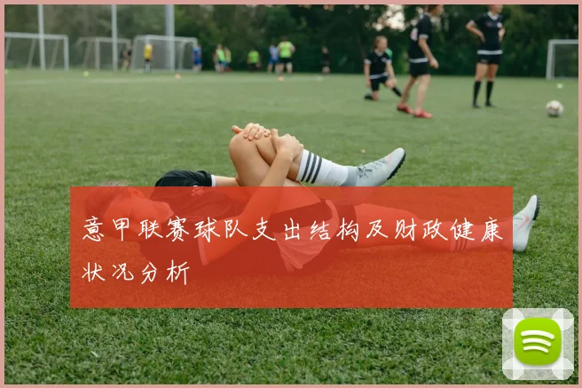 意甲联赛球队支出结构及财政健康状况分析